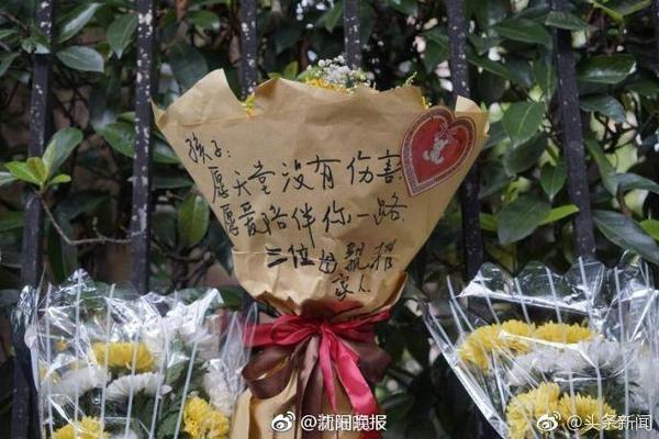 真人老太太日b视频手机版